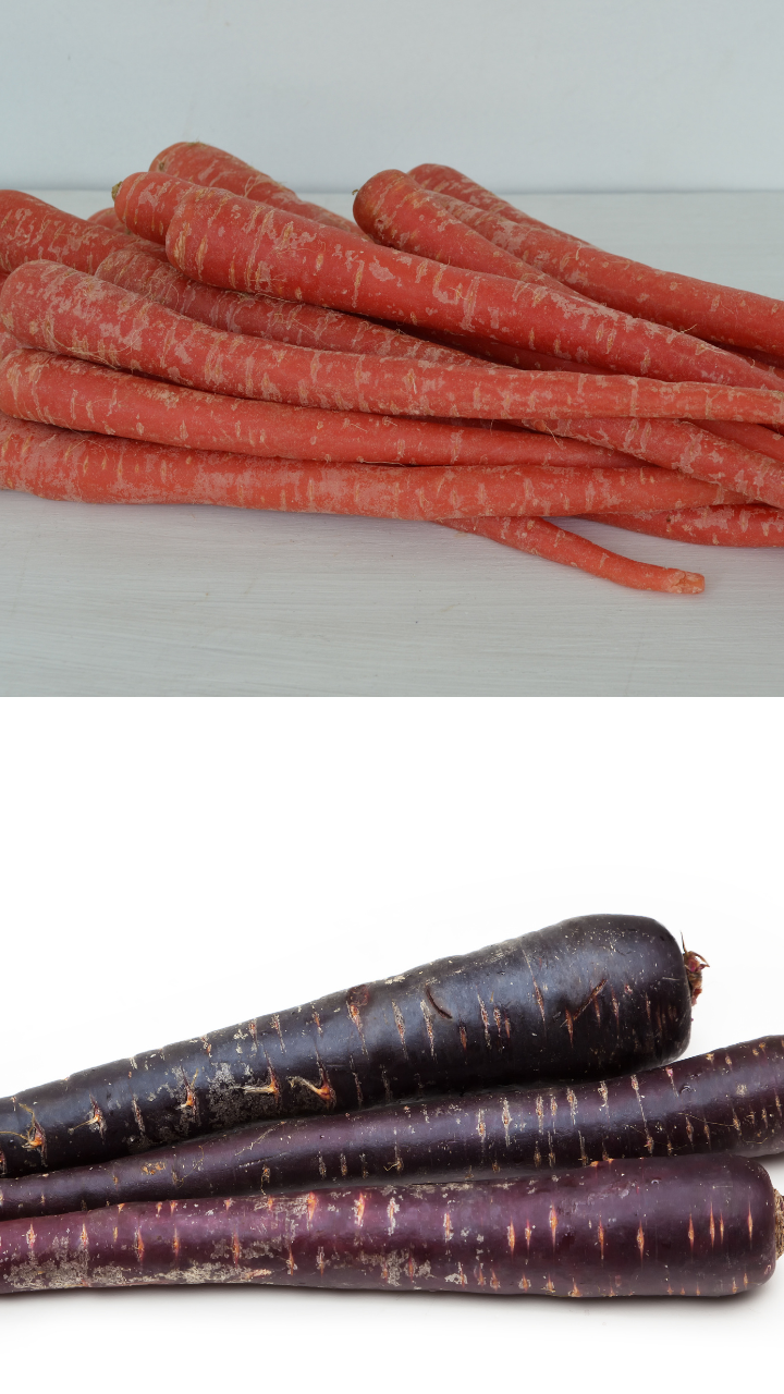Purple vs red vs white carrot their benefits and uses Times of India