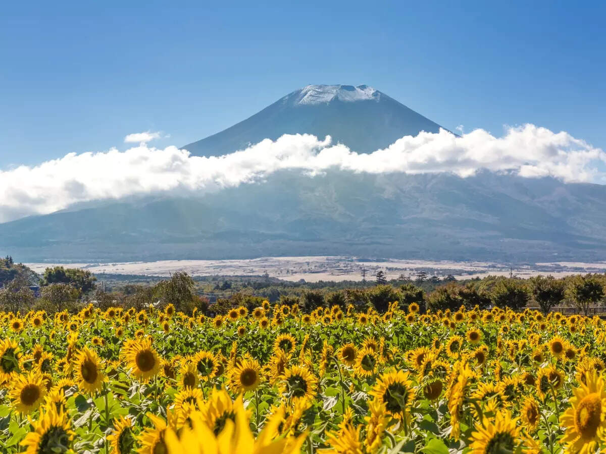 Japan: Mount Fuji imposes INR 1108 entry fee to tackle overtourism issues
