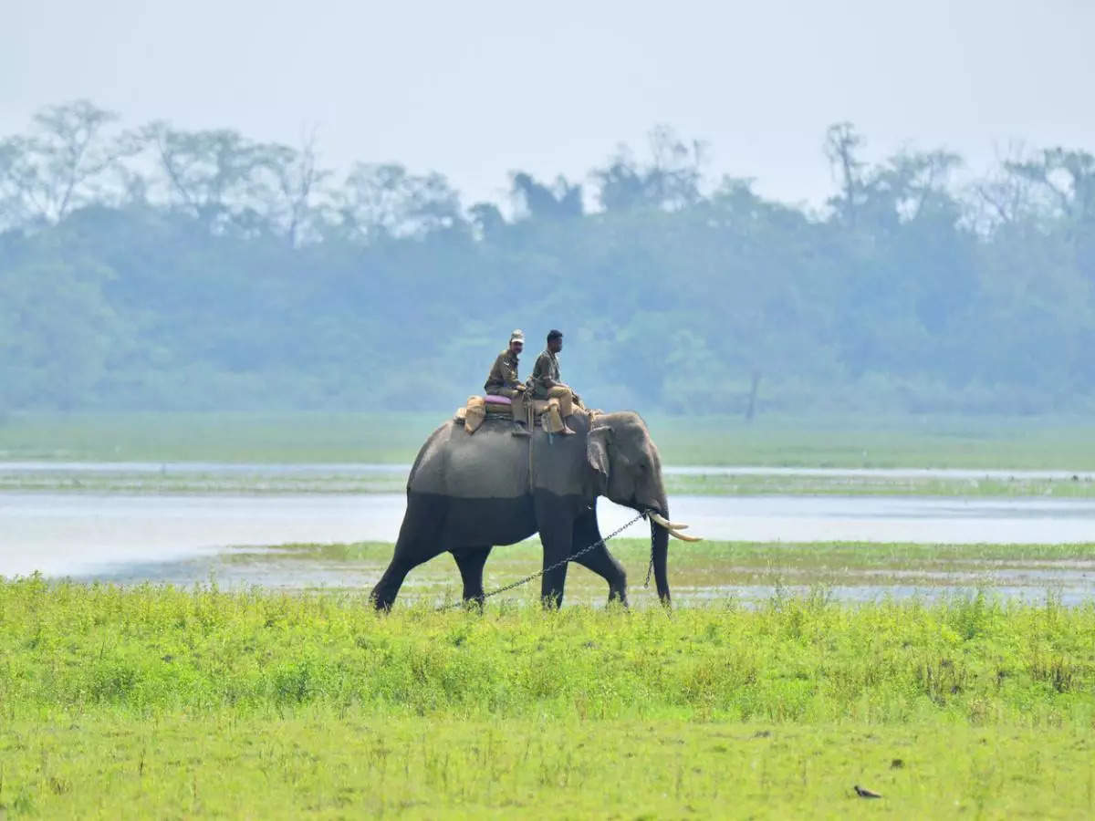 Assam to introduce ‘tourist police’ to ensure safety of tourists