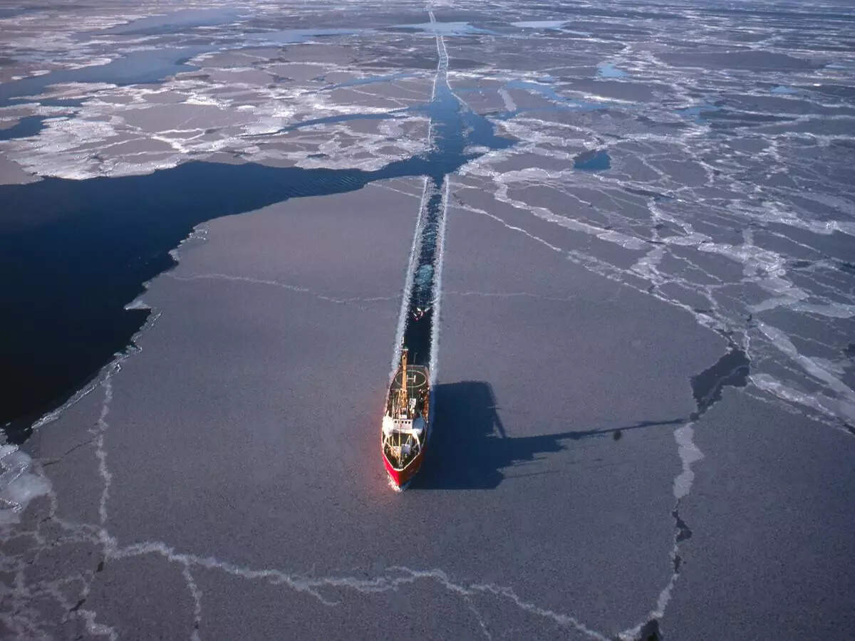 The Arctic could likely be ‘ice-free’ in just 10 years, warn scientists The Arctic could likely be ‘ice-free’ in just 10 years, warn scientists