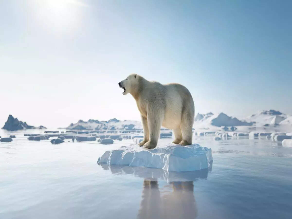 The Arctic could likely be ‘ice-free’ in just 10 years, warn scientists The Arctic could likely be ‘ice-free’ in just 10 years, warn scientists