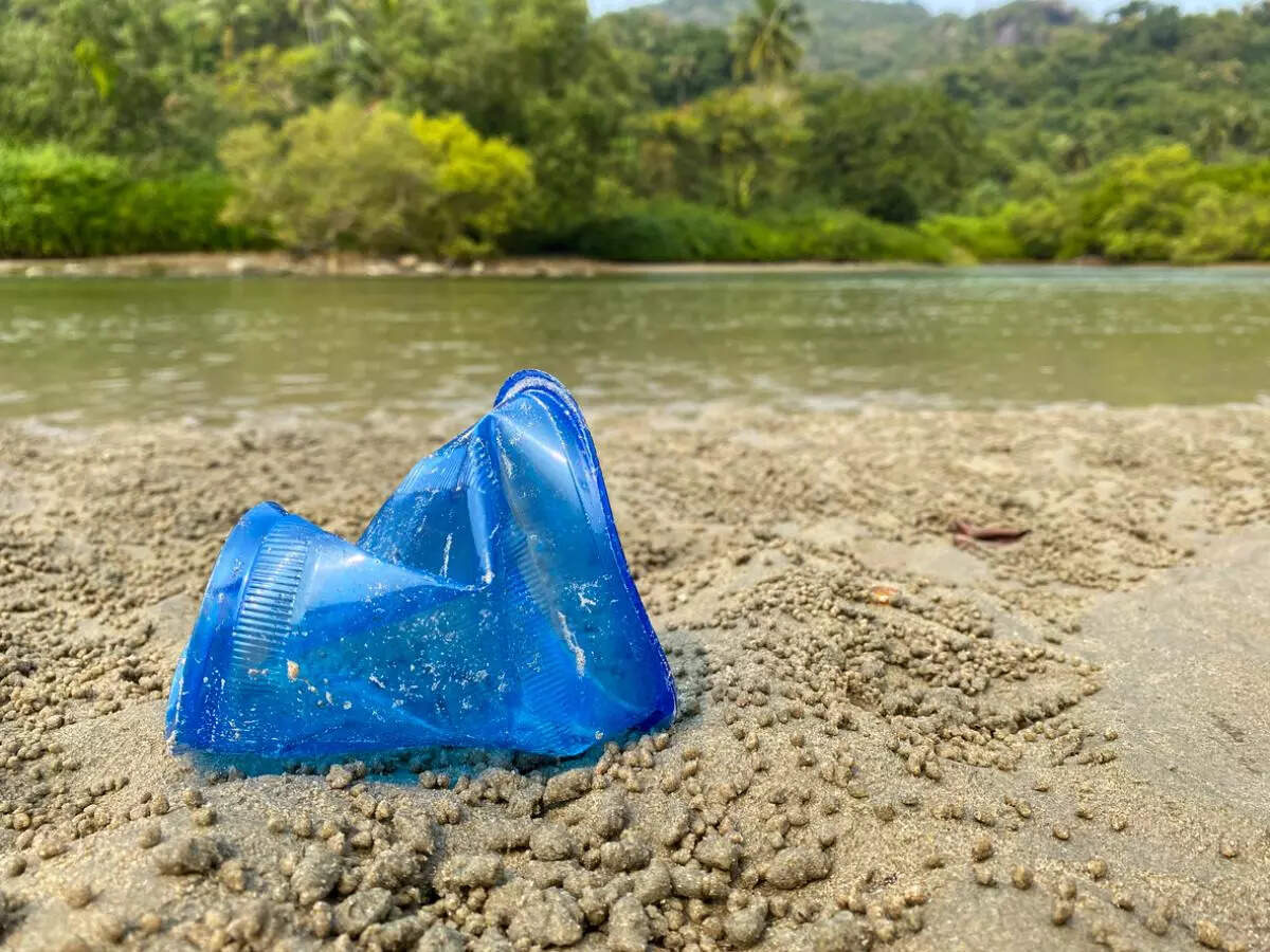 Odisha imposes ban on single-use plastics in sanctuaries, national parks from April 1 Odisha imposes ban on single-use plastics in sanctuaries, national parks from April 1