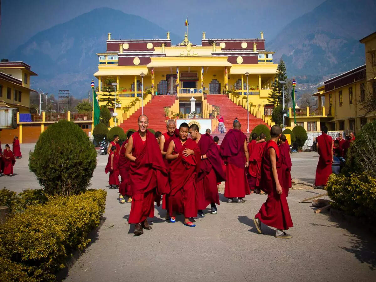India vs. England: The perfect 5-day cricket fan’s itinerary to Dharamshala India vs. England: The perfect 5-day cricket fan’s itinerary to Dharamshala