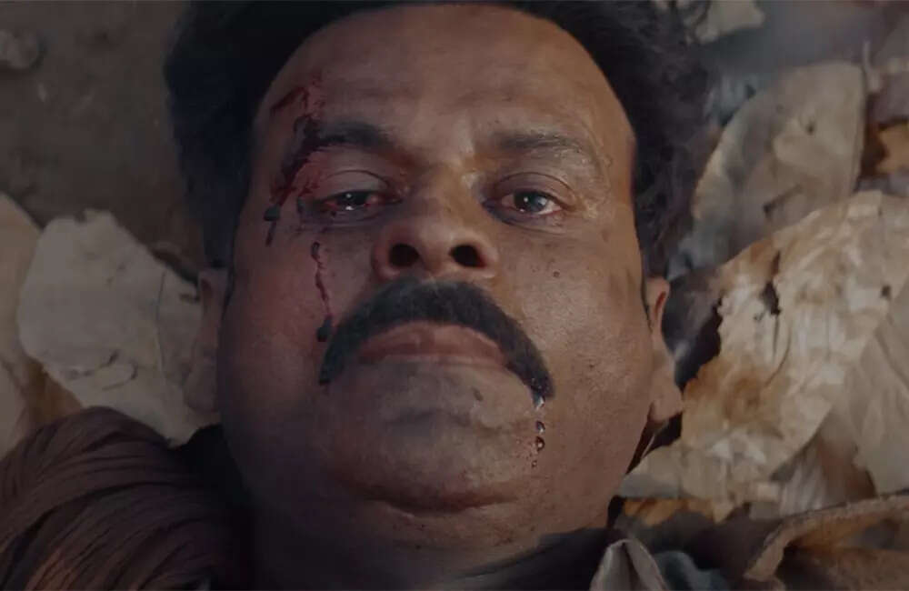 bhaiyyaji2
