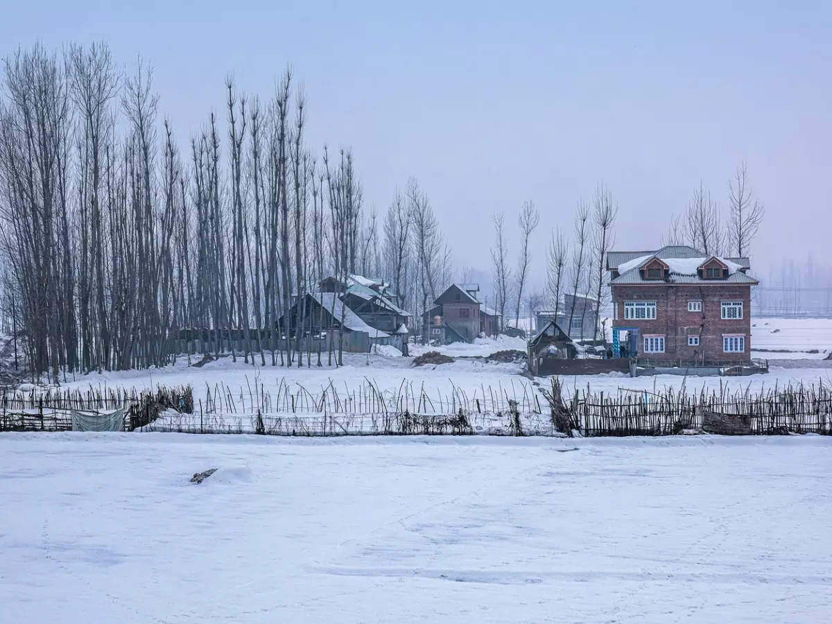 Kashmir weather update: Rainfall in Srinagar and snowfall in Gulmarg delight tourists