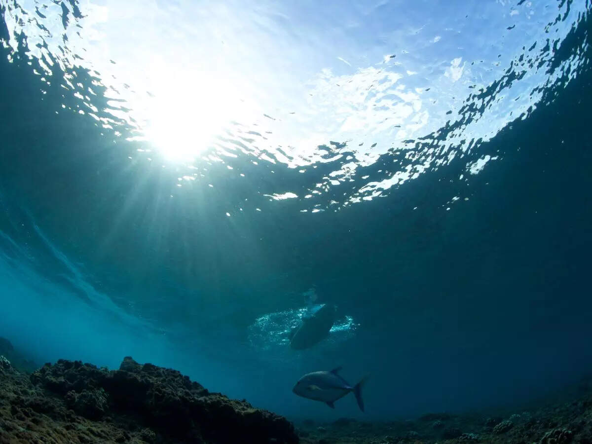 The mysterious giant ‘gravity hole’ in Indian Ocean, and why it was formed