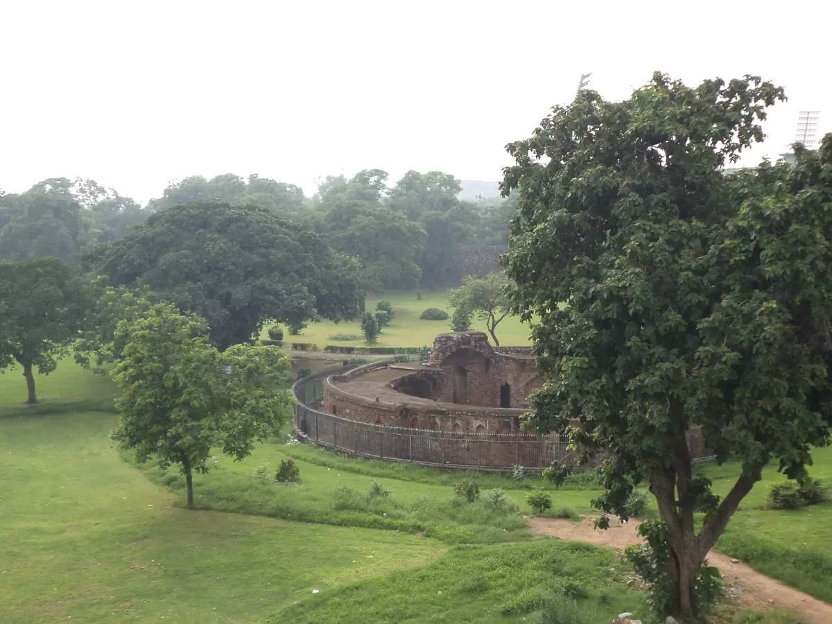 Tales of Djinns: The alleged haunting of Feroz Shah Kotla Fort in Delhi