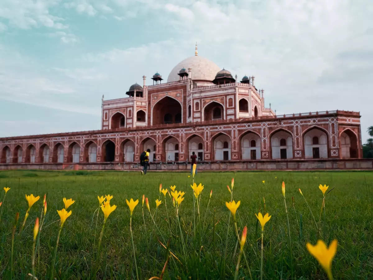 UNESCO World Heritage Young Professionals Forum 2024 to be held in India; application process is open