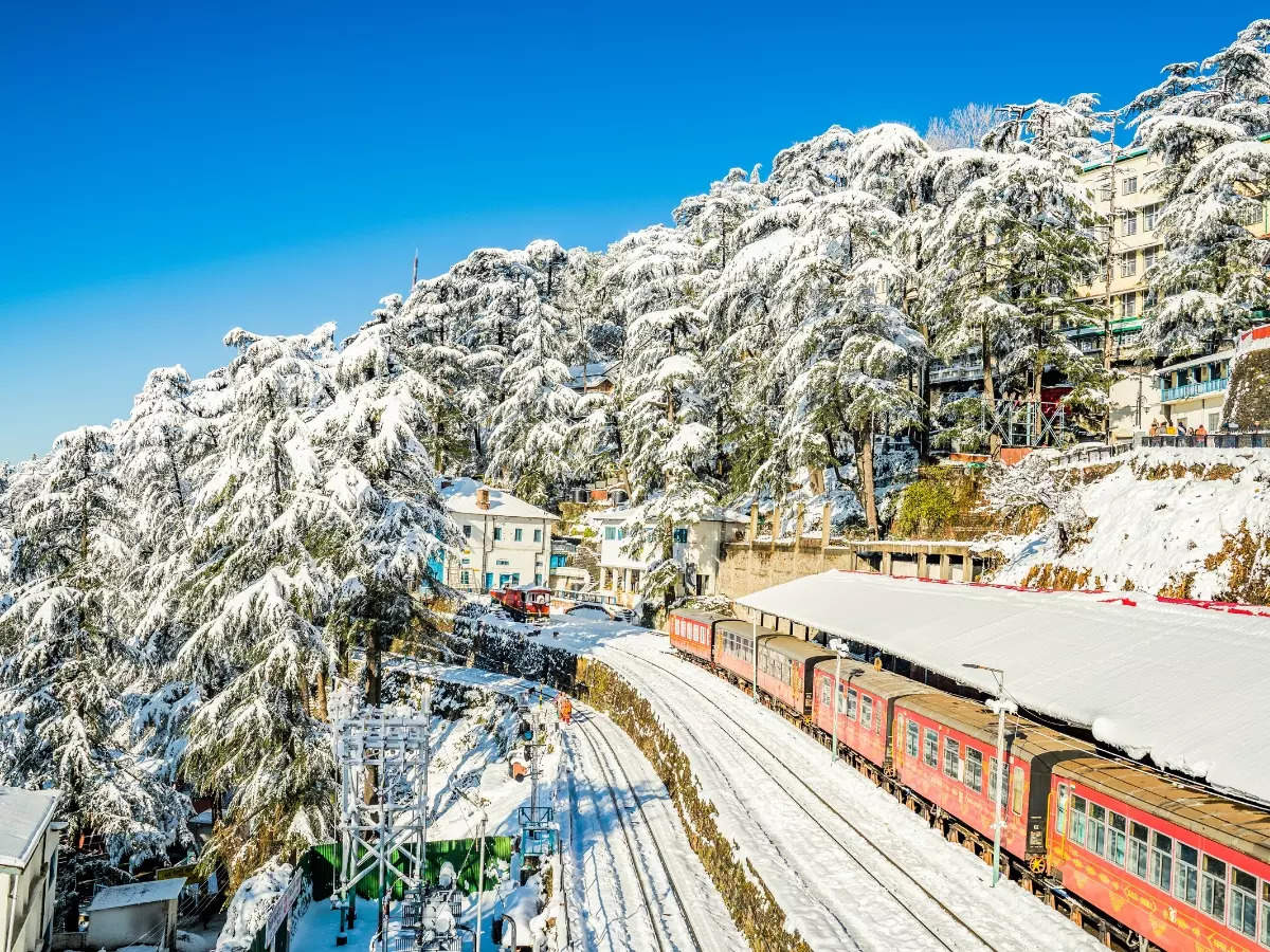 Kalka-Shimla Toy Train: How to experience this UNESCO World Heritage ...