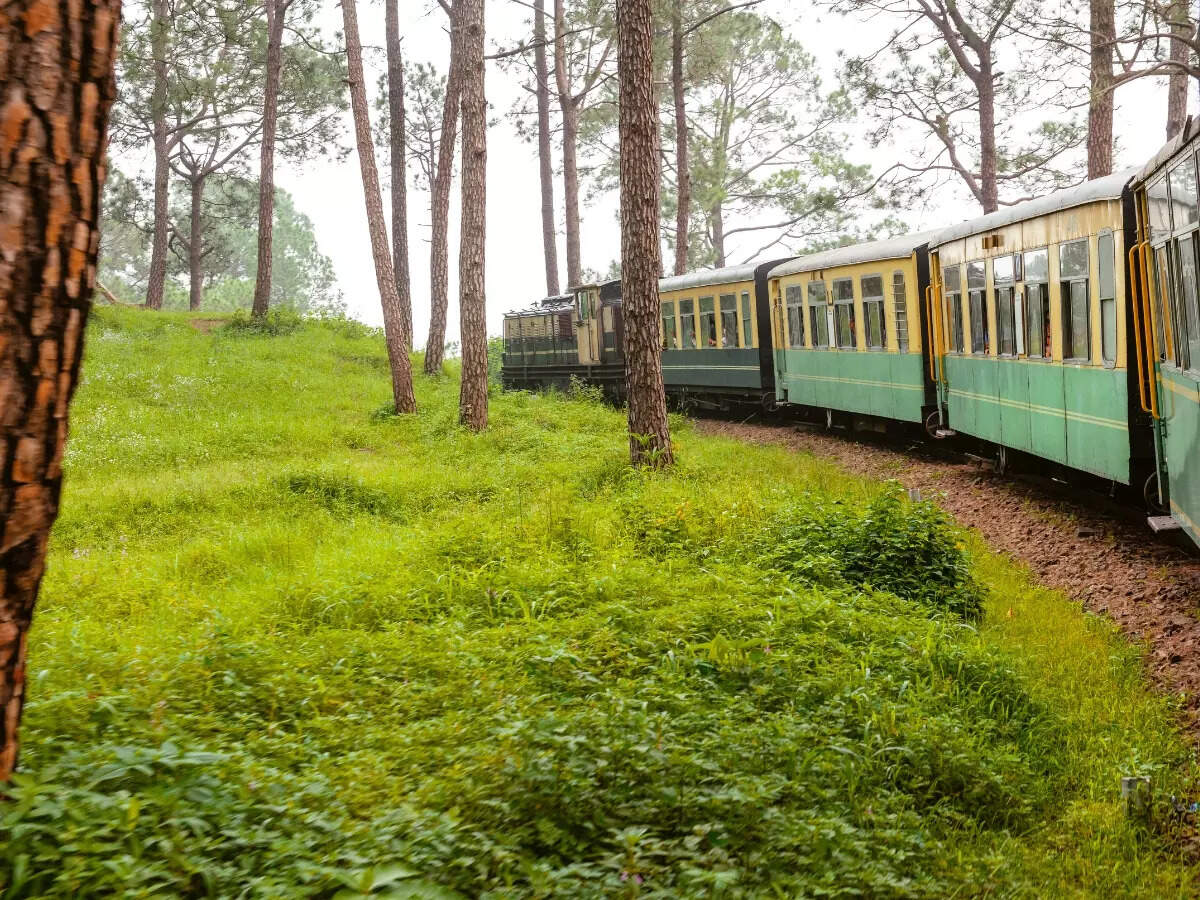 Kalka-Shimla Toy Train: How to experience this UNESCO World Heritage ...