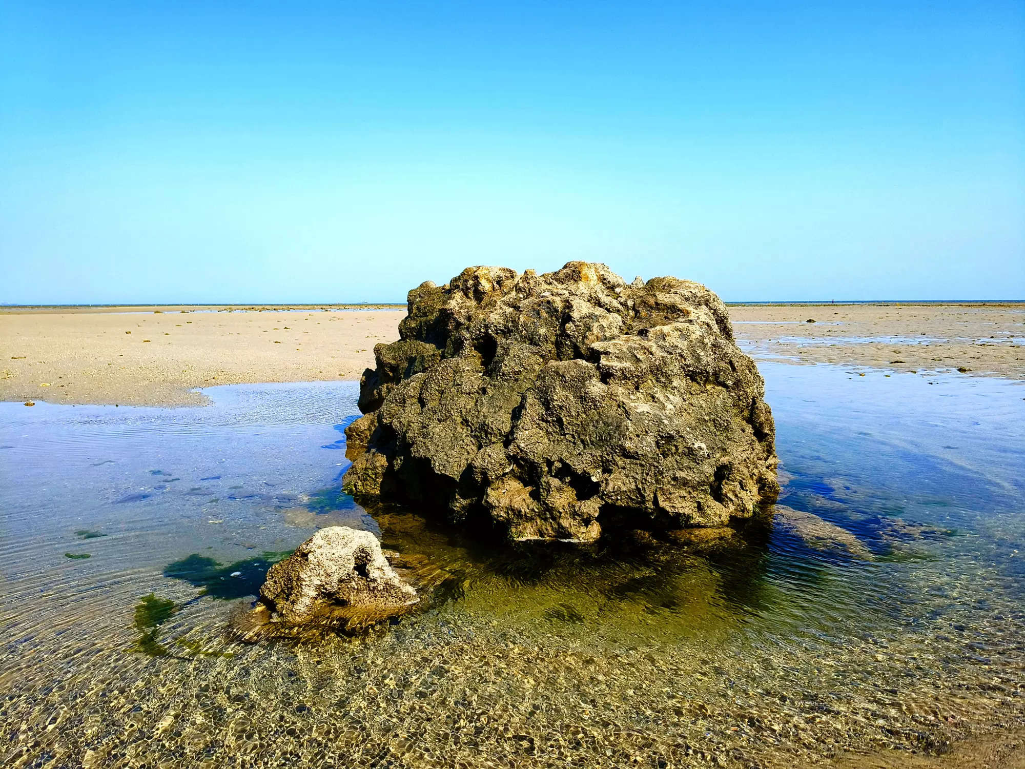 Gujarat: Exploring the rich biodiversity of Marine National Park in Jamnagar