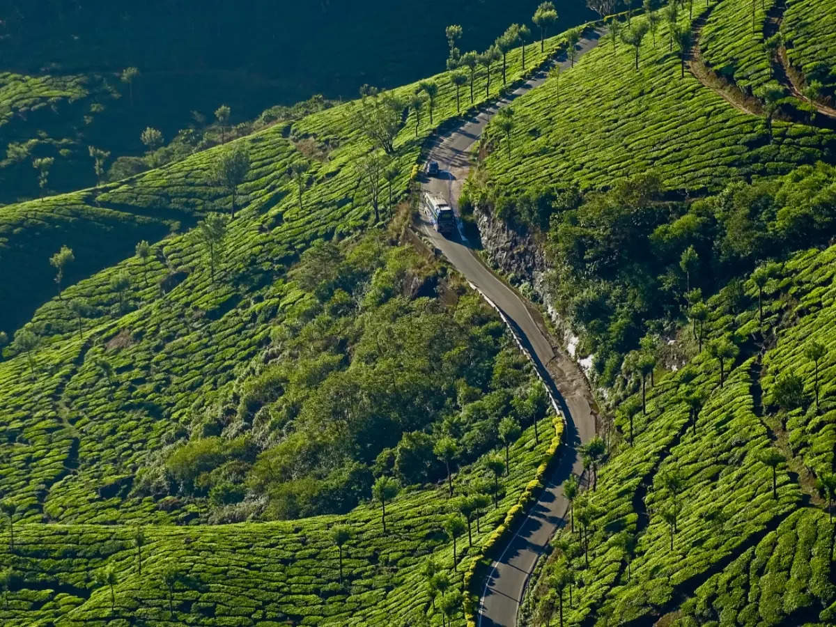 Quick guide to Munnar –  How to reach and places to visit
