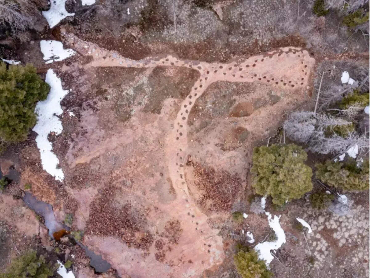 Colorado: World’s longest track of dinosaur footprints now open for public access Colorado: World’s longest track of dinosaur footprints now open for public access