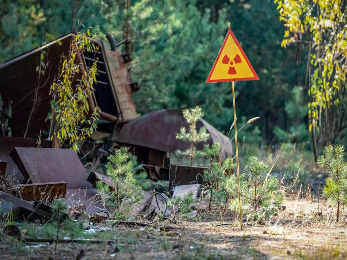 Chernobyl Exclusion Zone: A surprising haven for diverse wildlife