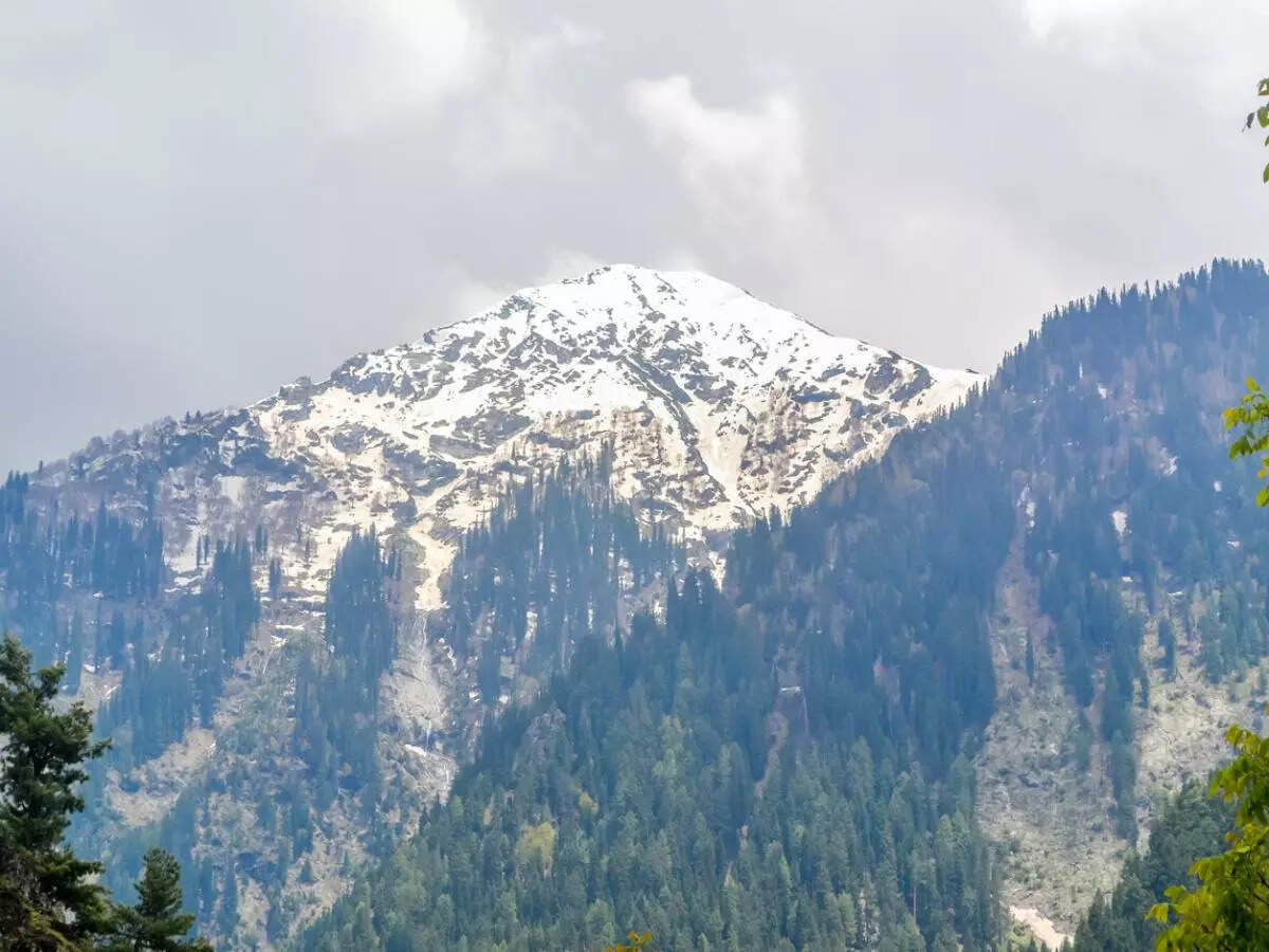 Exploring Yusmarg: A hidden gem of Kashmir, - Times of India Travel