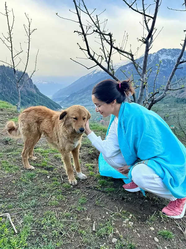 Shraddha Kapoor's mountain retreat is a natural beauty in no-makeup bliss, see pictures
