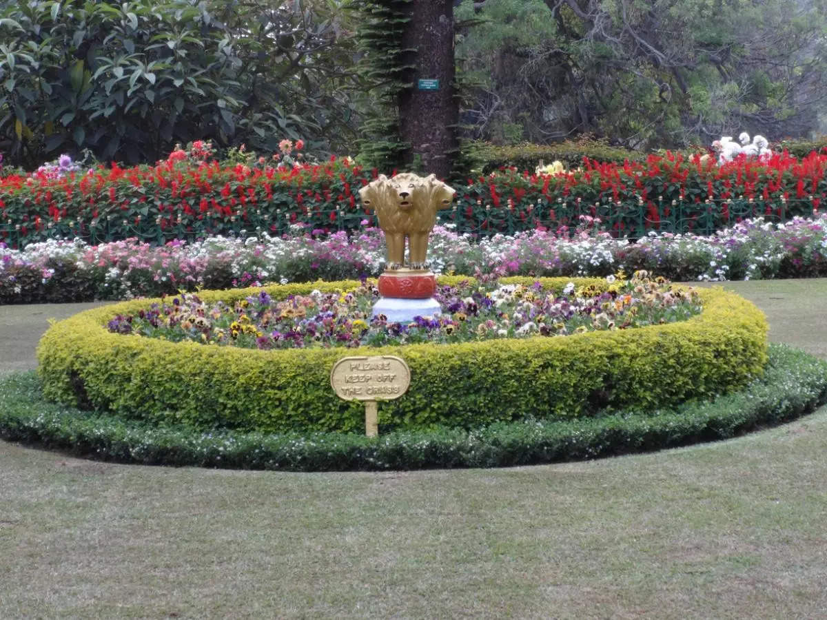 Ooty Flower Festival 2024 to begin from May 17; details inside