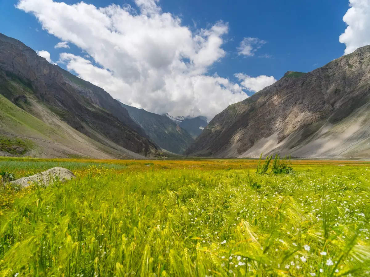Visiting Sonmarg in Kashmir this May