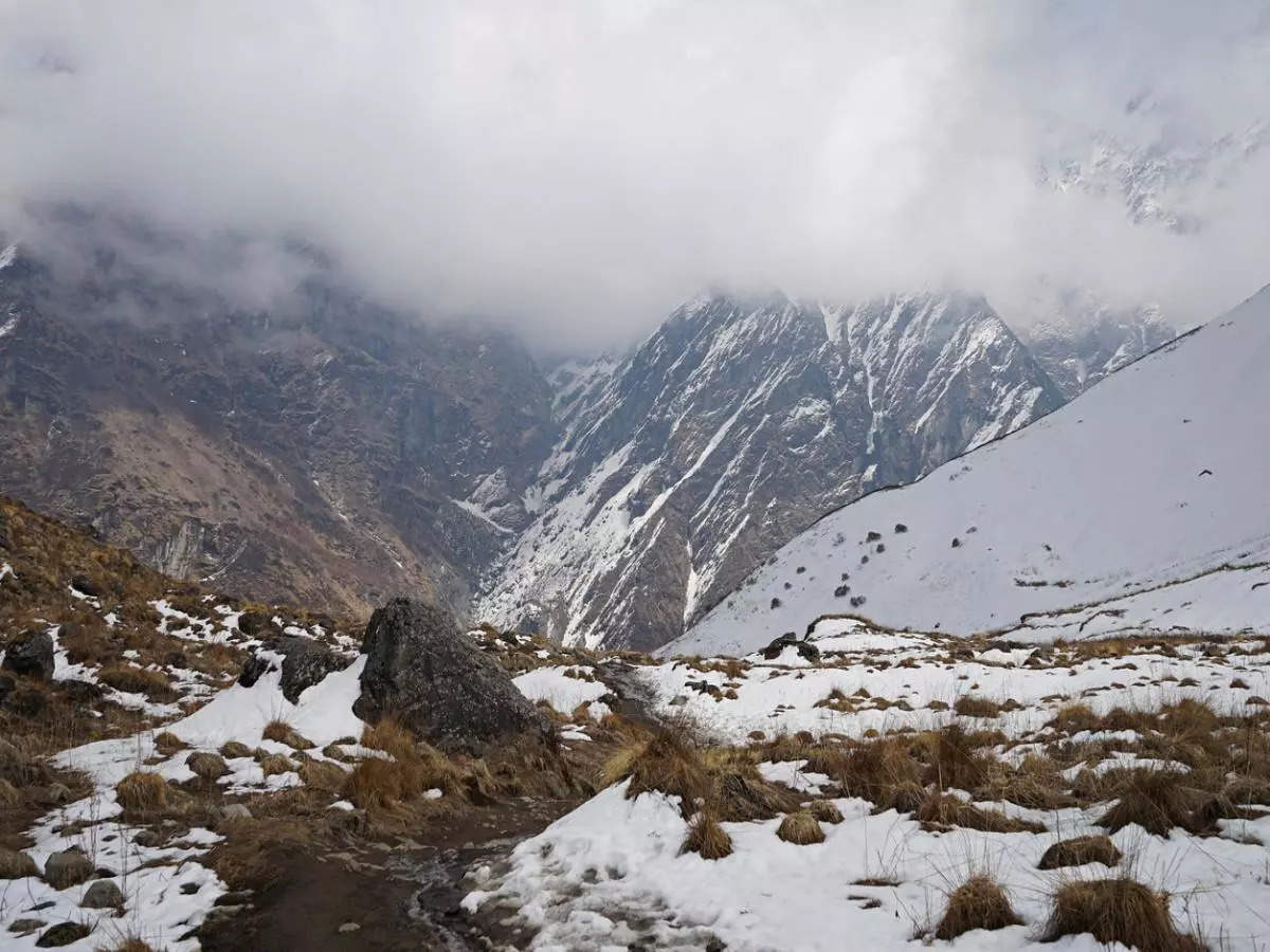 Nag Tibba Trek in Uttarakhand: A complete guide