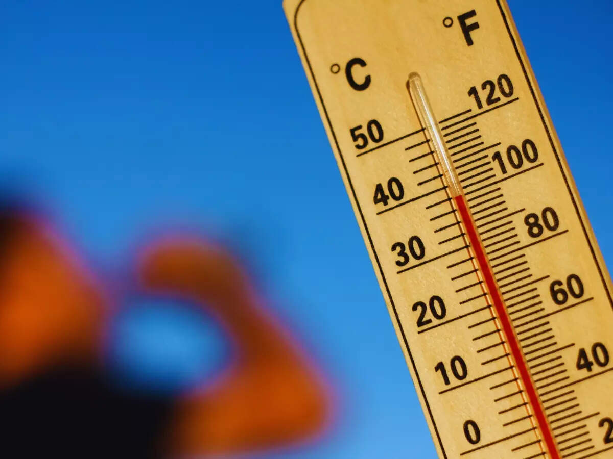 IMD predicts heatwave for Delhi, Punjab, UP; showers expected in Gujarat, Bihar, Jharkhand