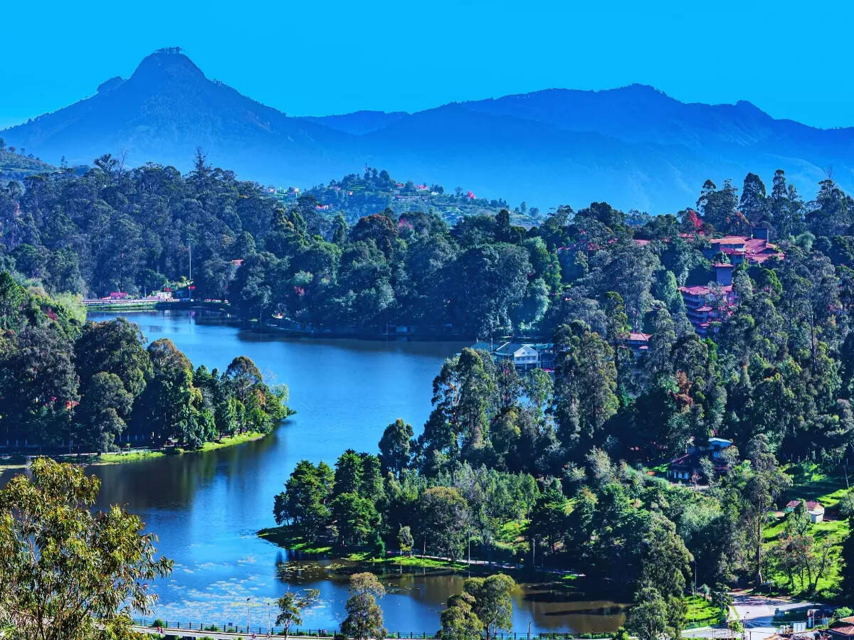 Kodaikanal: 5 best things to do if you are in town for 61st Kodai Vizha