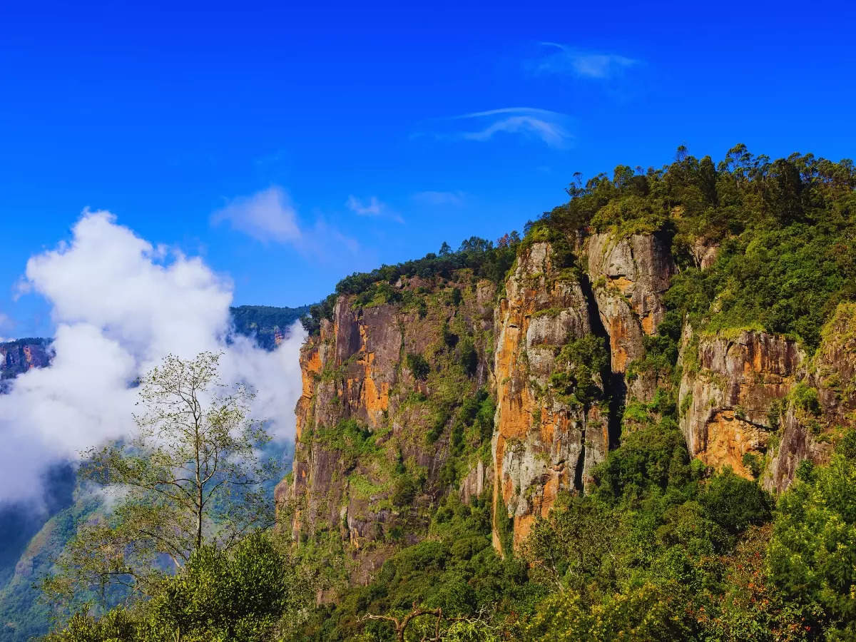 Kodaikanal: 5 best things to do if you are in town for 61st Kodai Vizha ...