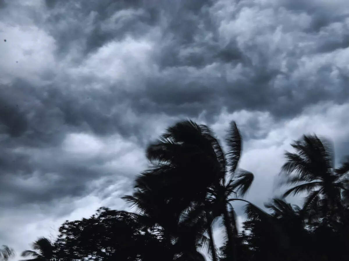 Cyclonic storm 'Remal': Odisha, West Bengal and Bangladesh on high alert