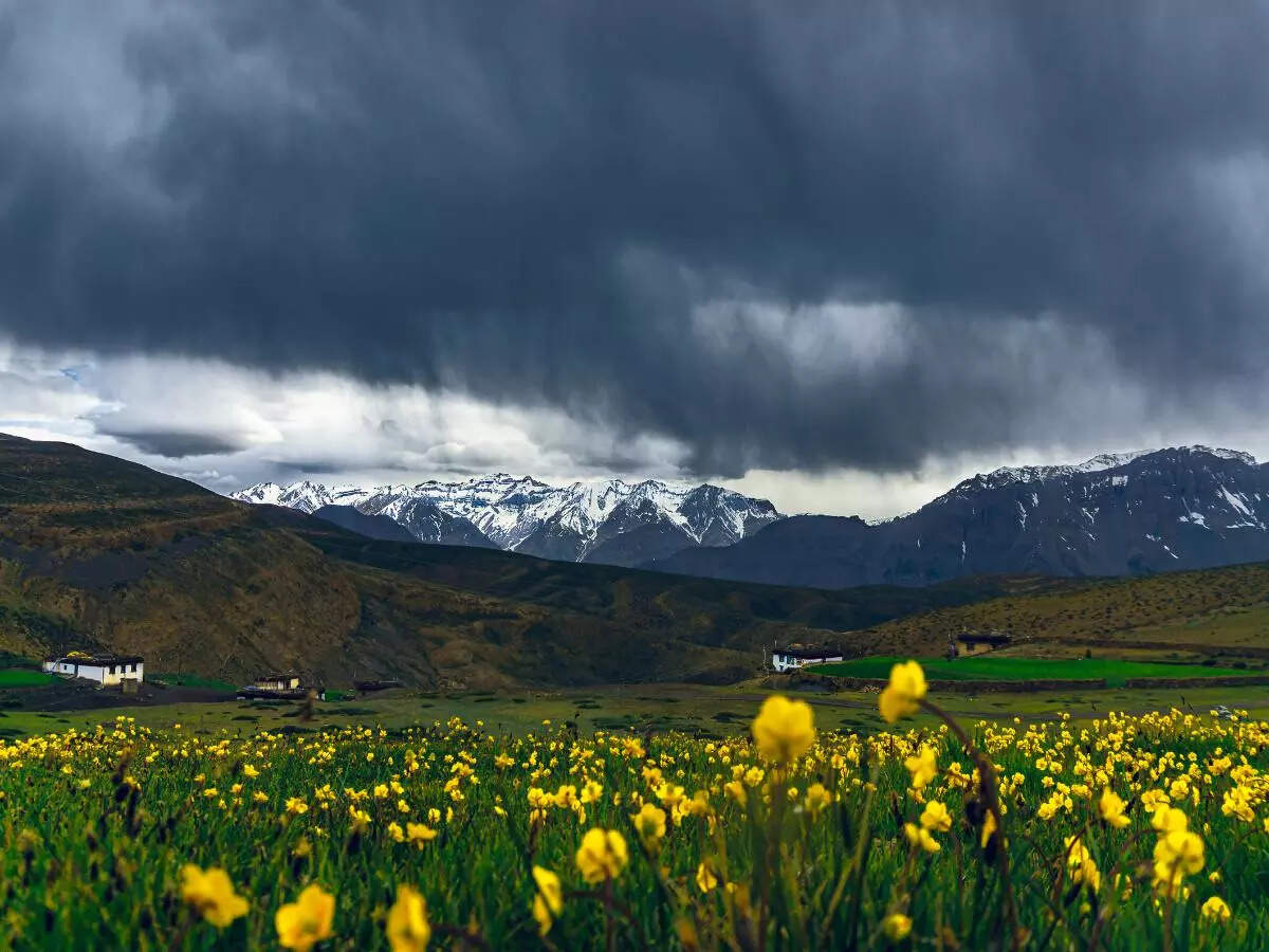 Uttarakhand’s Valley of Flowers all set to welcome travellers from June 1; all details here Uttarakhand’s Valley of Flowers all set to welcome travellers from June 1; all details here