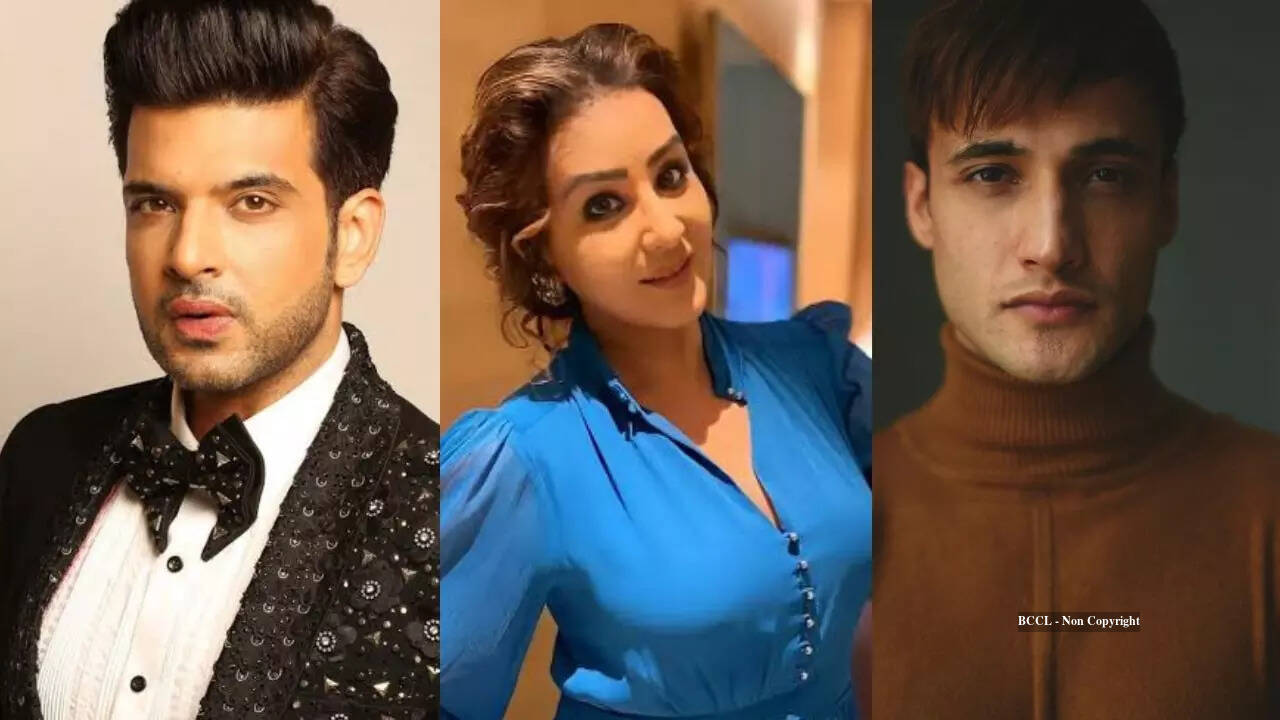 From Karan Kundrra, Aly Goni entertaining fans with Laughter Chefs to ...