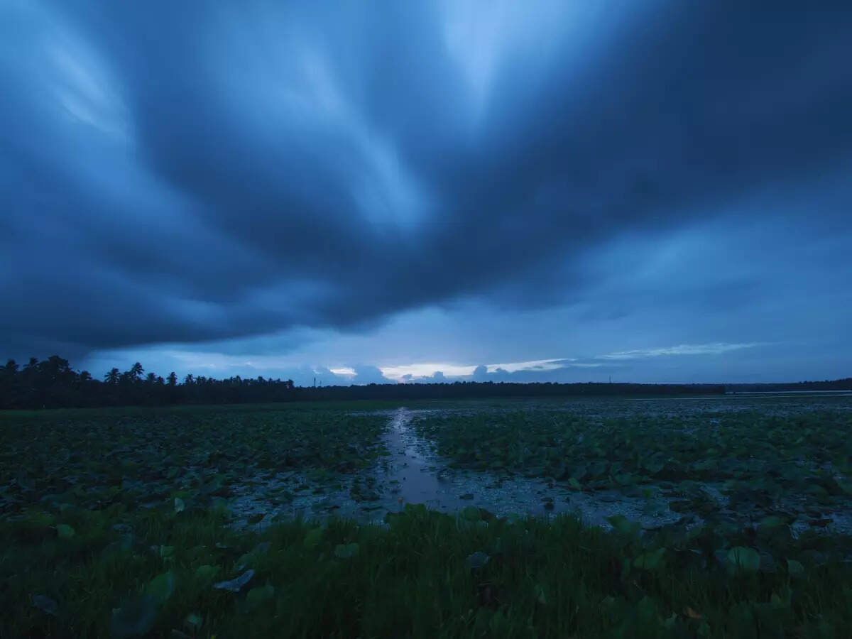When will Delhi see rains? Check IMD monsoon forecast for North India When will Delhi see rains? Check IMD monsoon forecast for North India