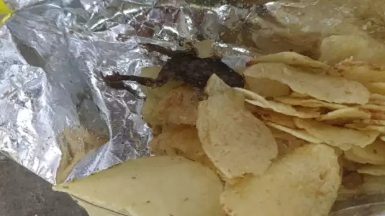 Fried Frog, Blade, Finger and other weird things found in food items