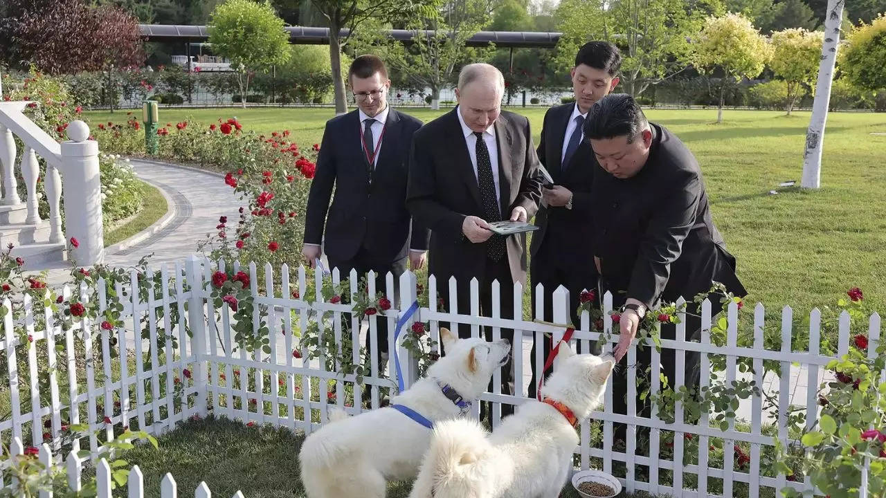 Kim and Putin's 'fiery friendship': Bonding over dogs, horses, gifts ...