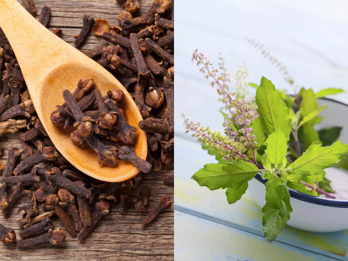 Clove & Tulsi Benefits: 9 reasons to have clove and tulsi on an empty stomach in morning