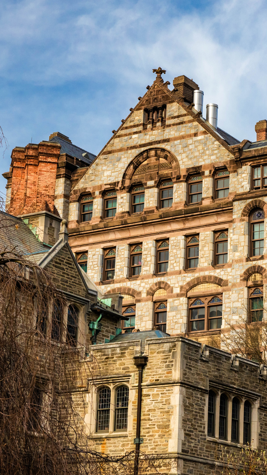 9 Princeton University Online courses you can enroll for free | Times of  India