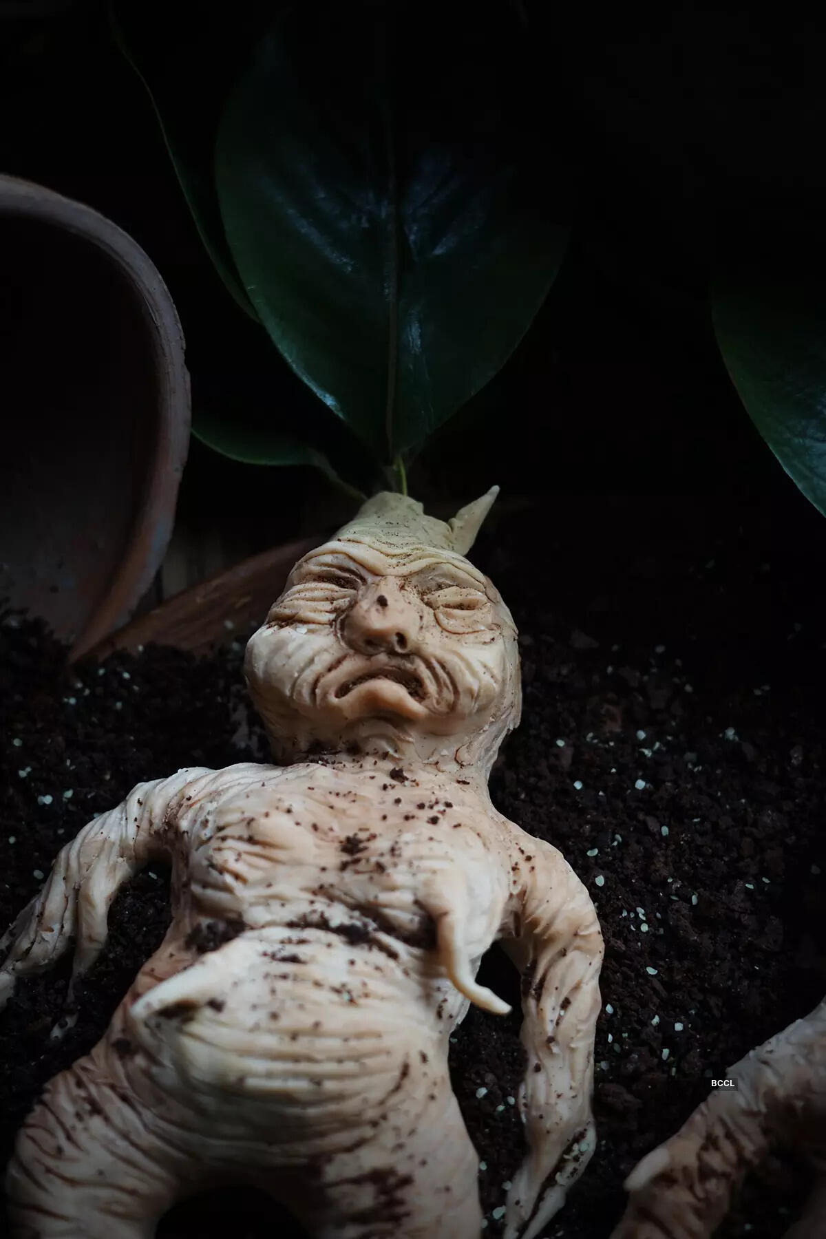 ​​A plant that strangely looks like a human!​​