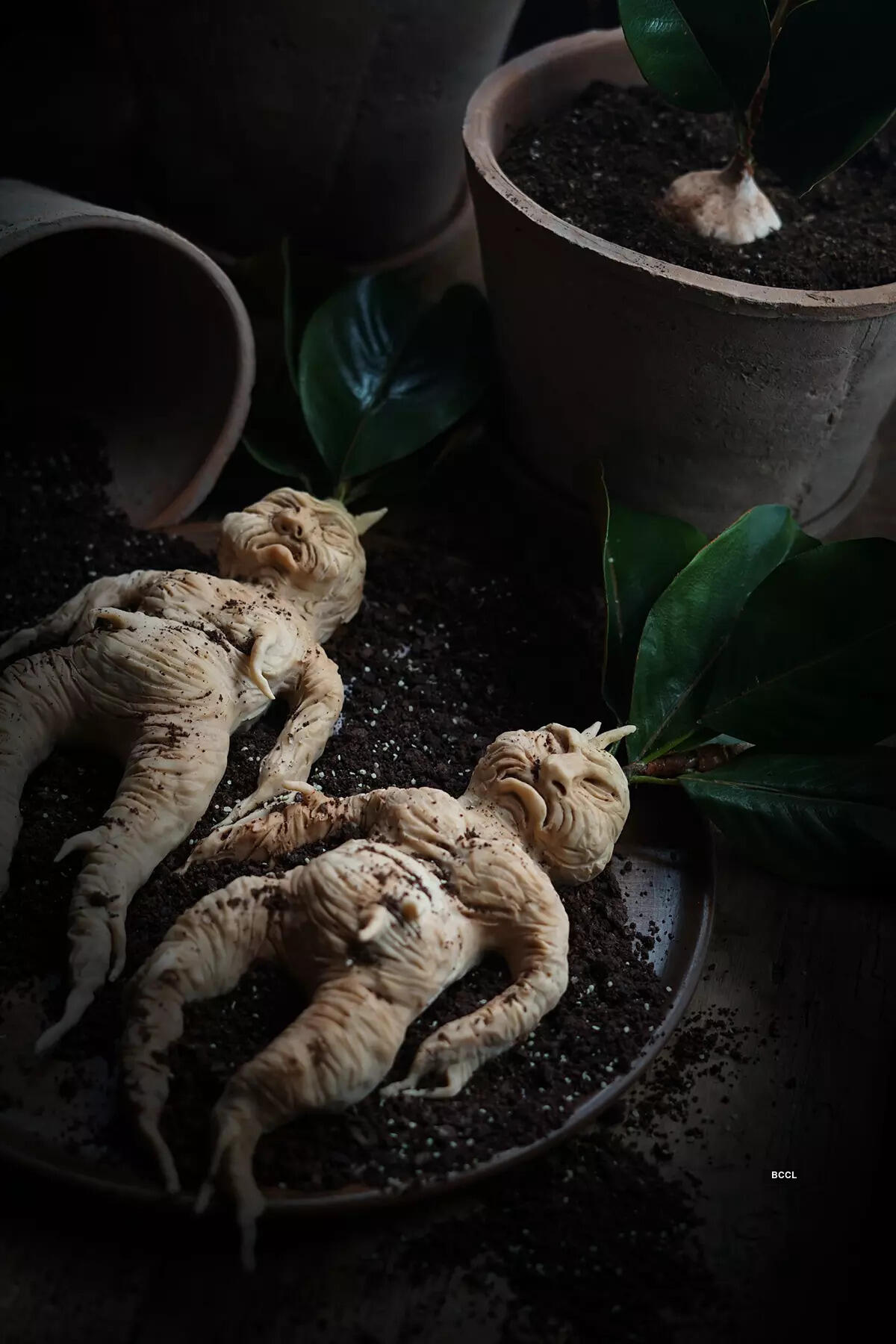 ​​A plant that strangely looks like a human!​​