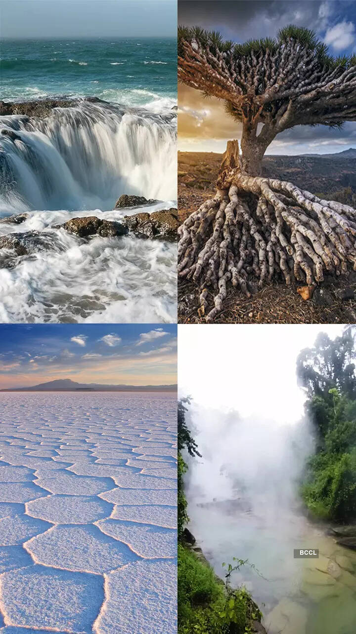 「Strange」に関連した英語例文の一覧と使い方 - Weblio英語例文検索 visual data 4