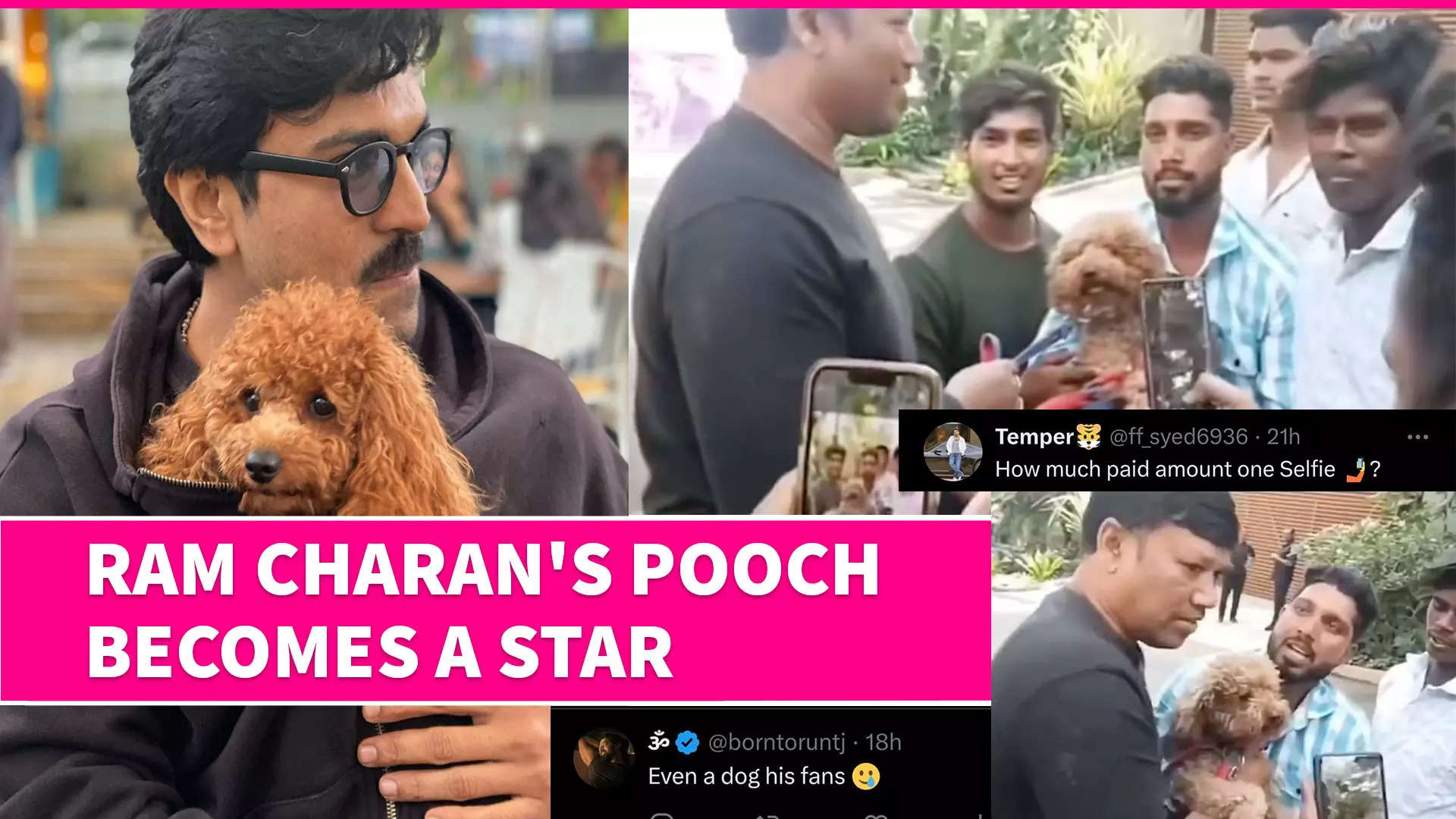 Fans Forcefully Grab Ram Charan's Pet Dog for Photos; Netizens Outraged