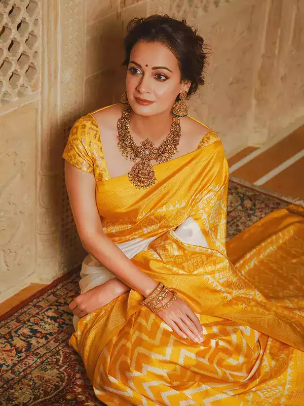 Dia Mirza's ethnic wear is a captivating display of timeless elegance and grace