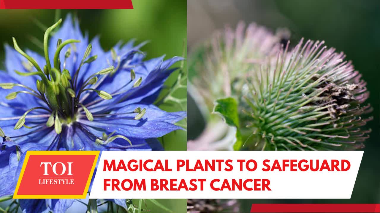 Plants for pink: 3 ways to reduce risk of breast cancer