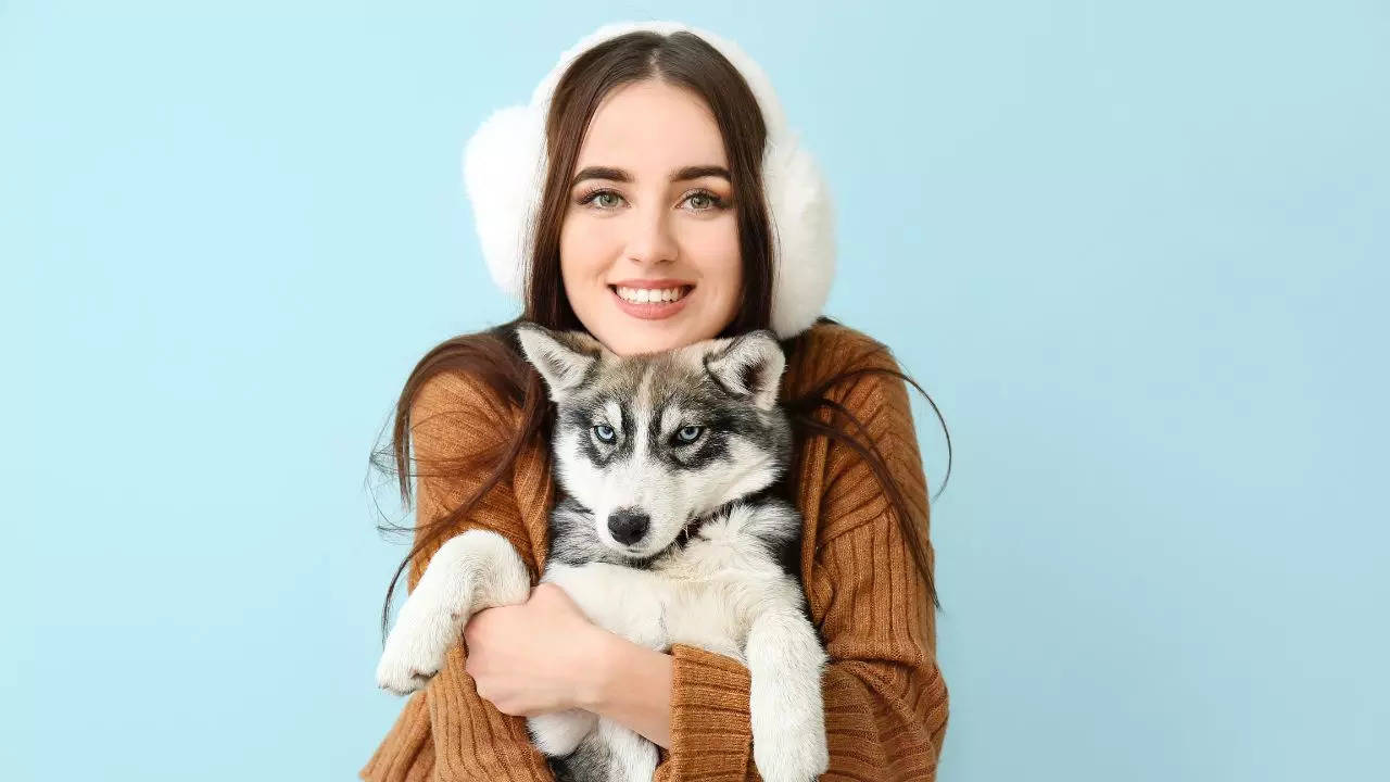 5 popular types of Huskies to have as pets