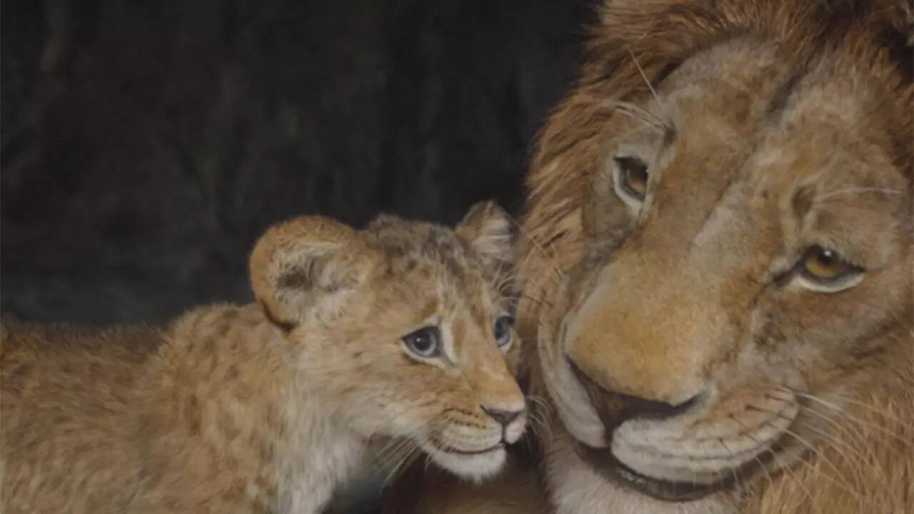 Mufasa1