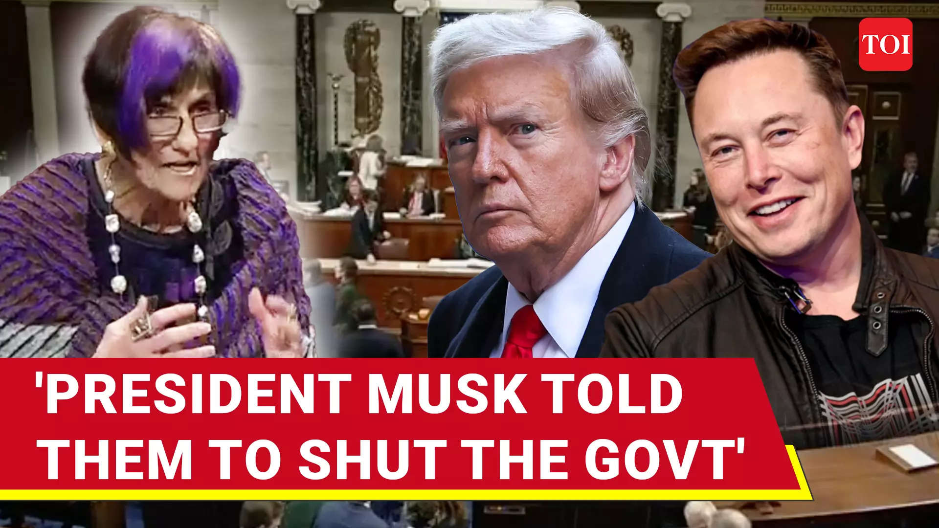 U.S. Govt Shutdown: 'President Musk Has No Idea': Rosa DeLauro's ...