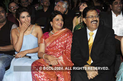57th Idea Filmfare Awards 2011: Starry Night