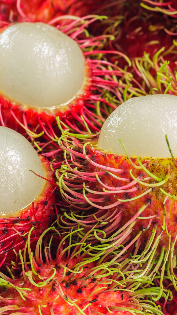 Rambutan Fruit Health Benefits 4+ Hundred Rambutan Fruit Benefits