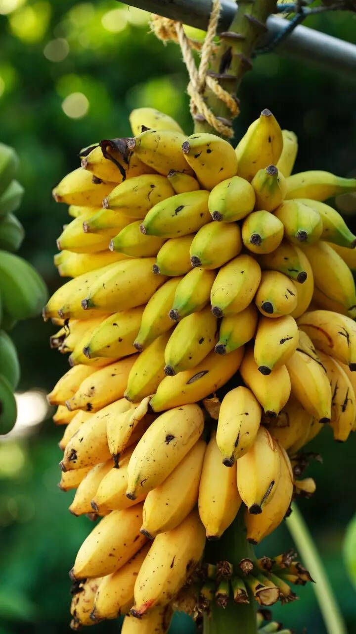 9 ways to add bananas to the morning routine | Times of India