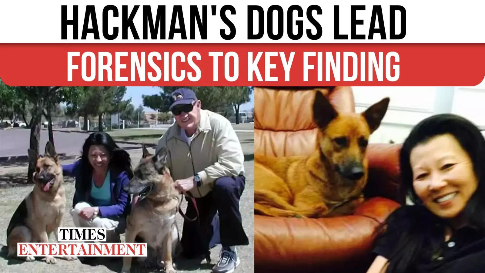 Gene Hackman’s Dogs Play Big Role In Investigation With Last Act Of Loyalty