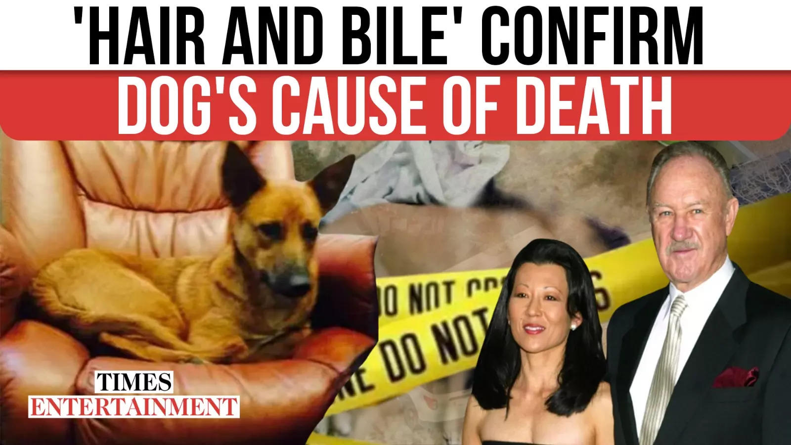 Hackman Case: Dog's Cause Of Death Revealed With Concerning Necropsy Report