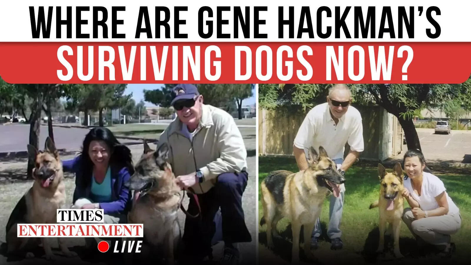 Heartwarming Replace On Gene Hackman’s Two Surviving Canines; Rescuer Confirms Their Future | WATCH