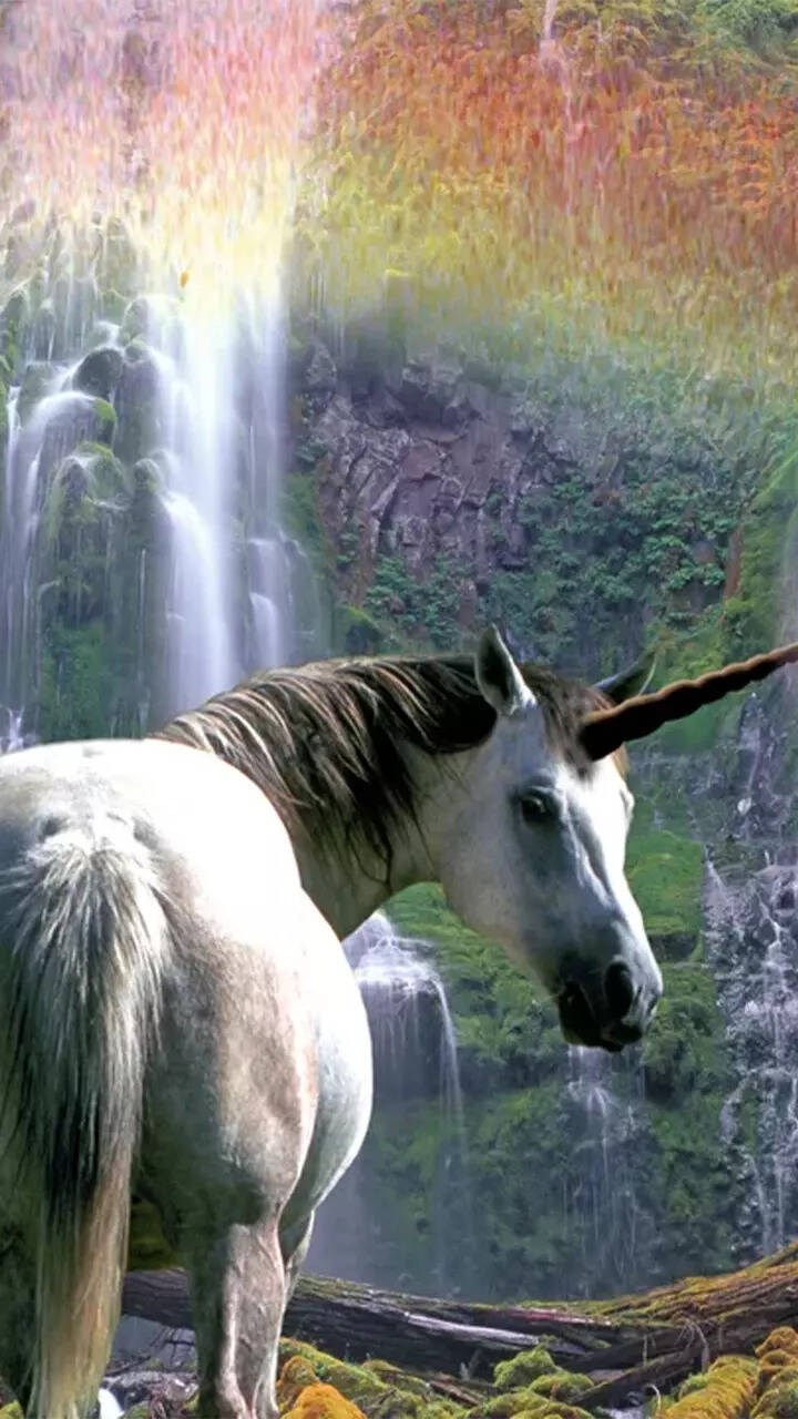 Real Unicorns Found Alive With Wings Pegasus Unicorn Gift Of